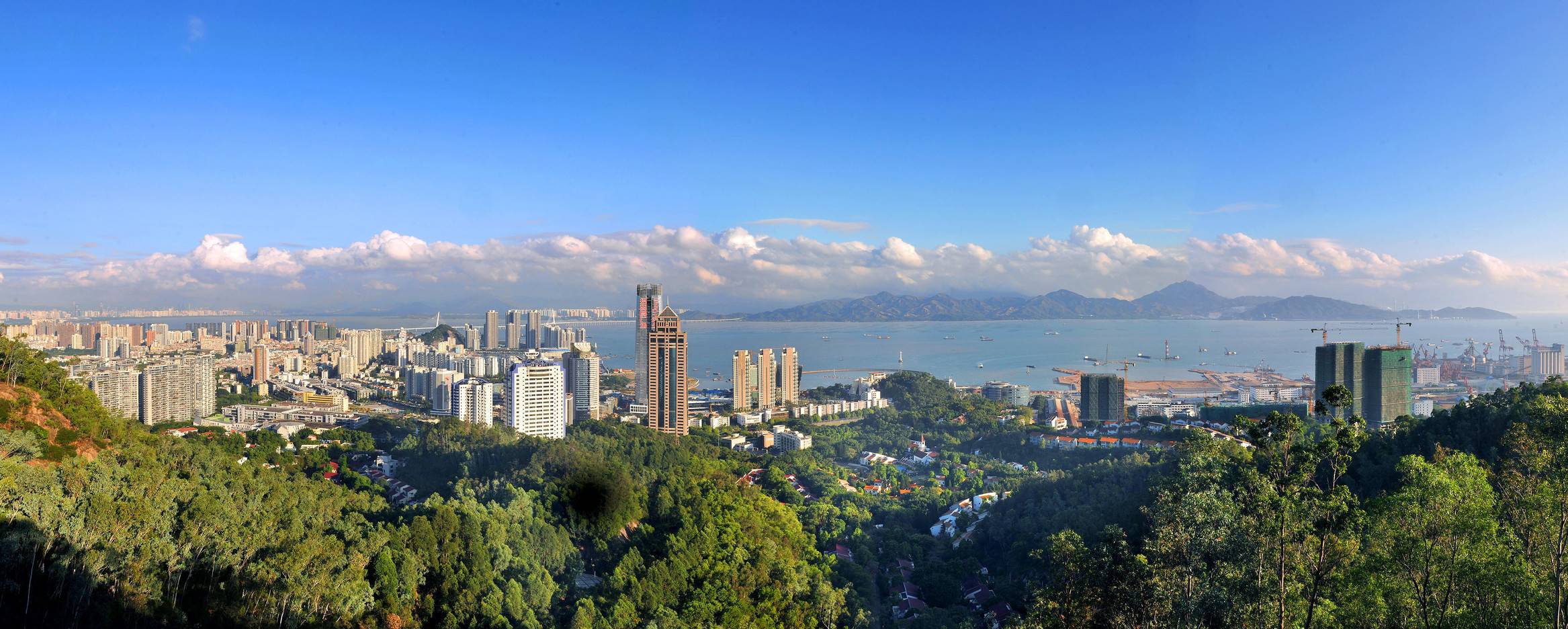 蛇口全景图（版权所有：设计互联）Panaroma View of Shekou@Design Society