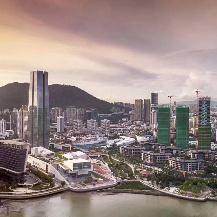 015.Values of Design A Manifesto for Pearl River Delta