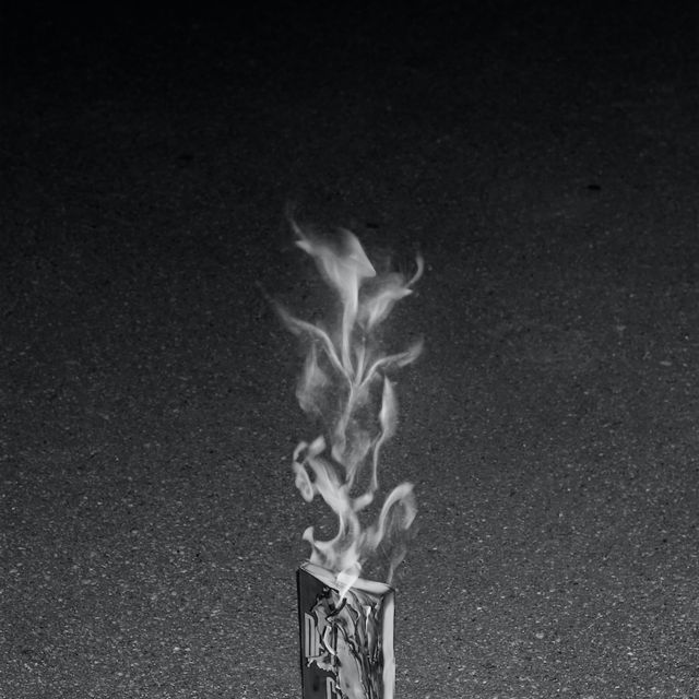 14 托马斯·布拉西，选自《自由》系列，2012-2017